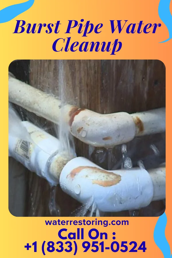 Burst Pipe Water Cleanup in Hanging Rock, OH