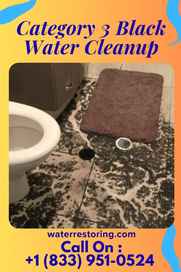 Category 3 Black Water Cleanup in Hanging Rock, OH