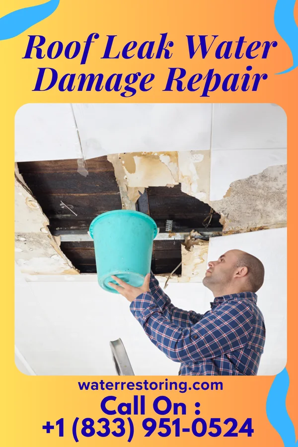 Roof Leak Water Damage Repair in Hanging Rock, OH